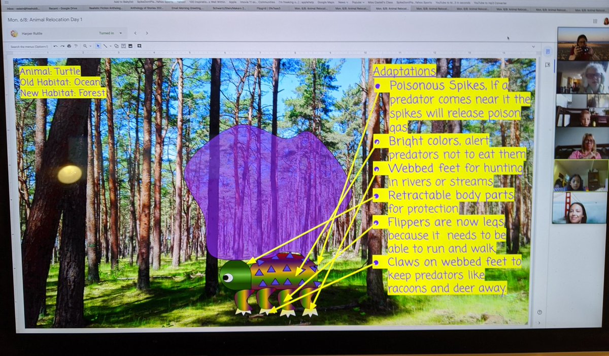 Esta Stein tweet media