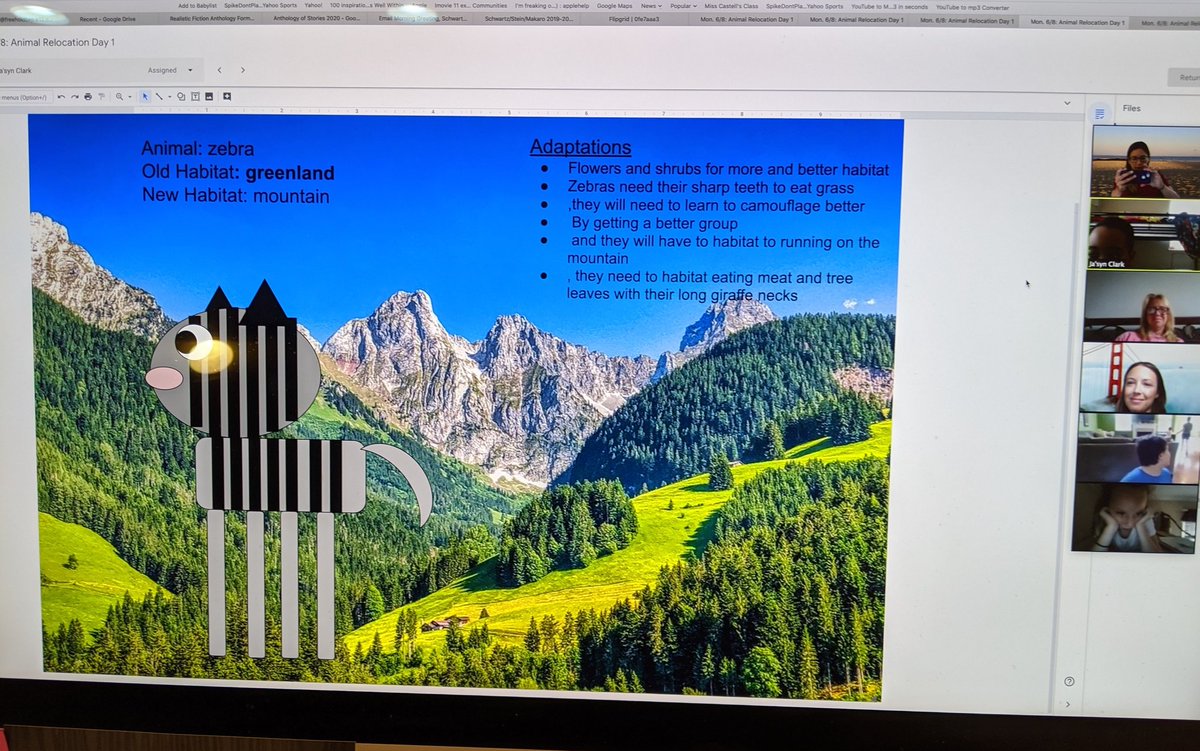 Esta Stein tweet media