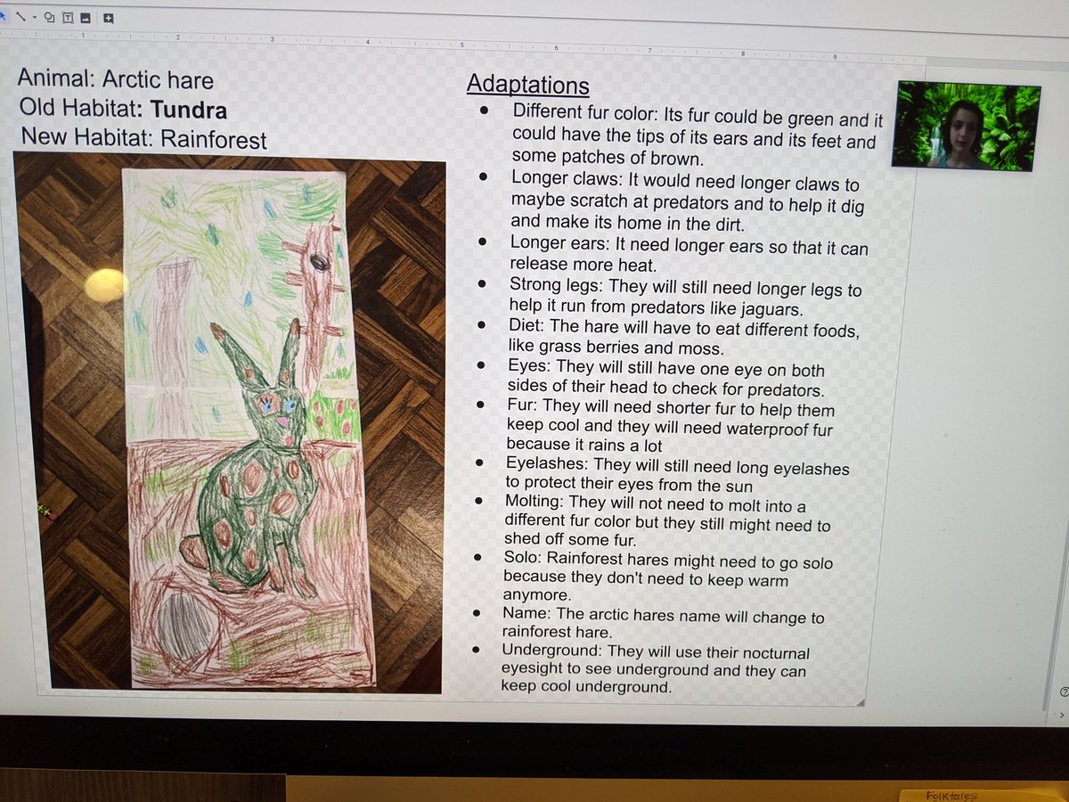 Esta Stein tweet media