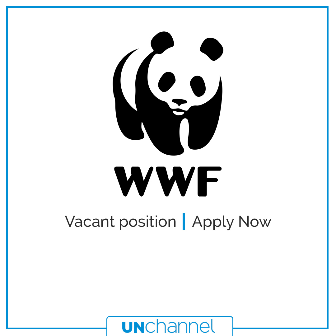 Символ всемирного фонда дикой природы. Панда символ чего. Панда символ. Всемирный фонд дикой природы wwf логотип. Всемирный фонд дикой природы wwf эмблема.