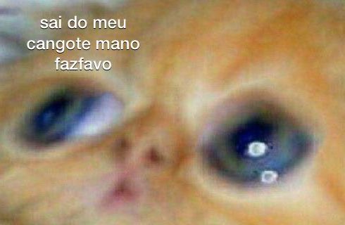 vendo alguém se aproximar demais da minha peça no ludo