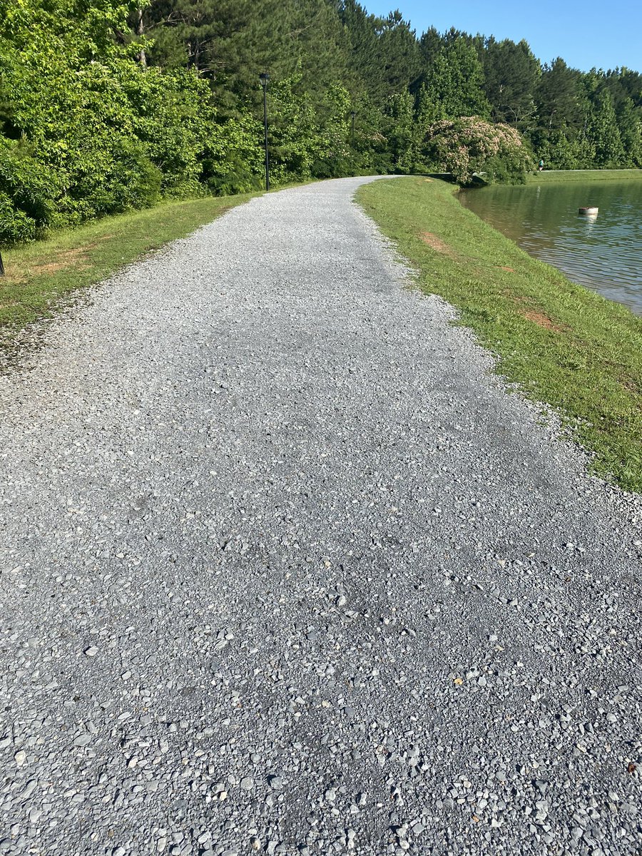 Perfect weather for a morning run!