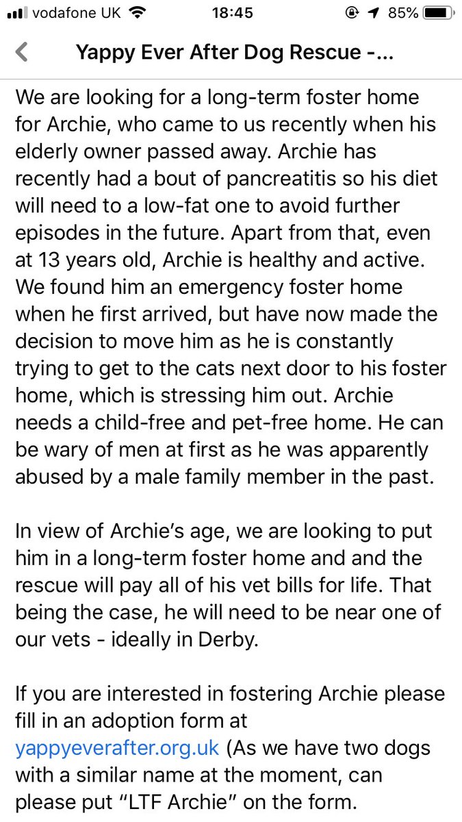 13yo Archie is looking for a long term #foster home as his owner has died. #Derby area pls read his bio. Apply to yappyeverafter.org.uk #urgent #TeamZay 💚🐾