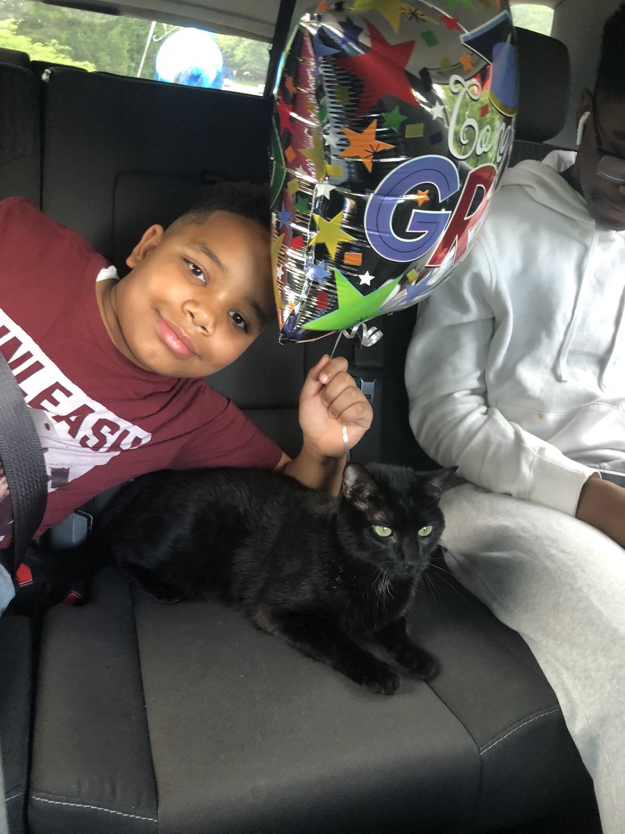 Nikki Steptoe-Coleman tweet media