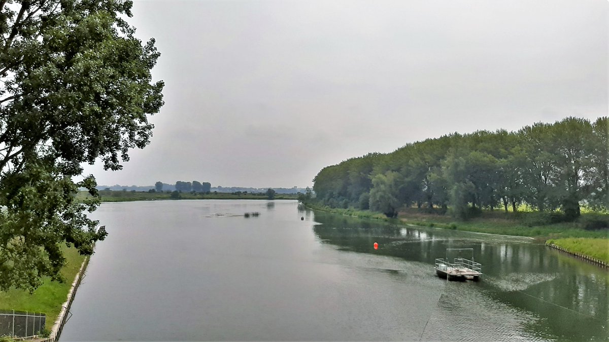 inja5248's tweet photo. vlak water in de #Maas in de #Maasvallei 
bij de #stuw van #Linne 
windstil zwaar bewolkt en heiig...
prima wandelweer 🚶‍♀️🧑‍🦯 
door de #Weerd #MiddenLimburg 
@MaasinBeeld https://t.co/VnOVZ2f6v3