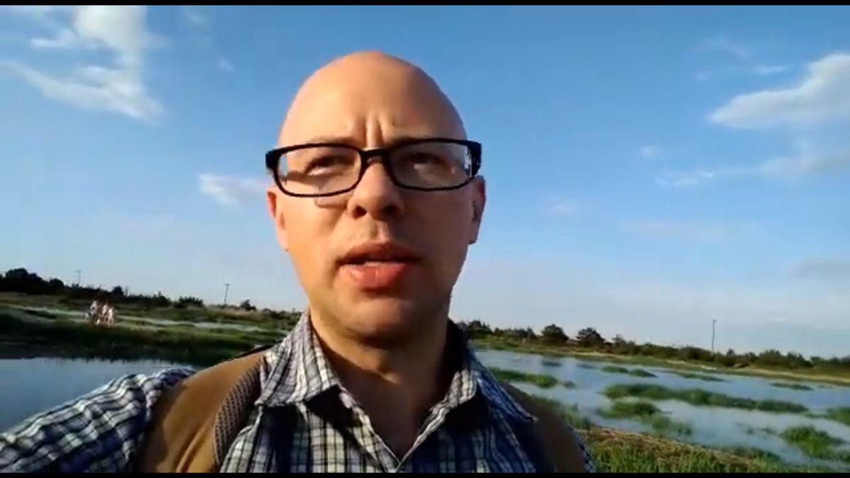NNCEaston's tweet photo. This week Jeff is taking Science at Home on a field trip! Come along with Jeff as he finds horseshoe crabs at Sandy Hook, learn about these unique creatures, make your own horseshoe crab, and discover why they have blue blood.
https://t.co/o5yUsCu2Tx https://t.co/YTtwYLQrNX