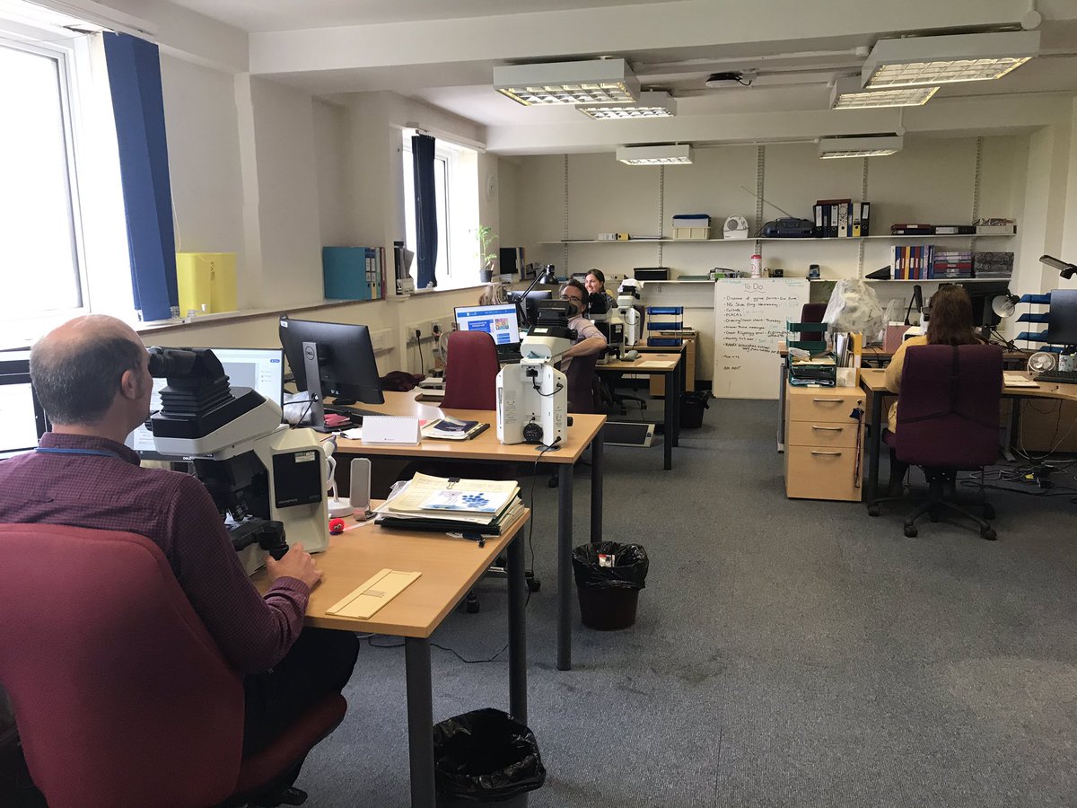 CellularRDE's tweet photo. #sociallydistantdiagnostics #BiomedicalScienceDay2020 https://t.co/6y2ybfrIpj