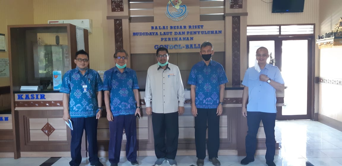 bpmkp_buleleng's tweet photo. Sekretaris Sekretariat Direktorat Jendral PDSKP berkunjung ke BBRBLPP dalam rangka kunjungan Lapangan yg berkaitan dengan pendampingan penyuluh di Satminkal BBRBLPP wilayah Kab Jembrana untuk program yg akan dilaksanakan PDSKP @brsdm_kp @sjariefwidjaja @kkpgoid @puslatluhkp https://t.co/uBEkKBS2vn