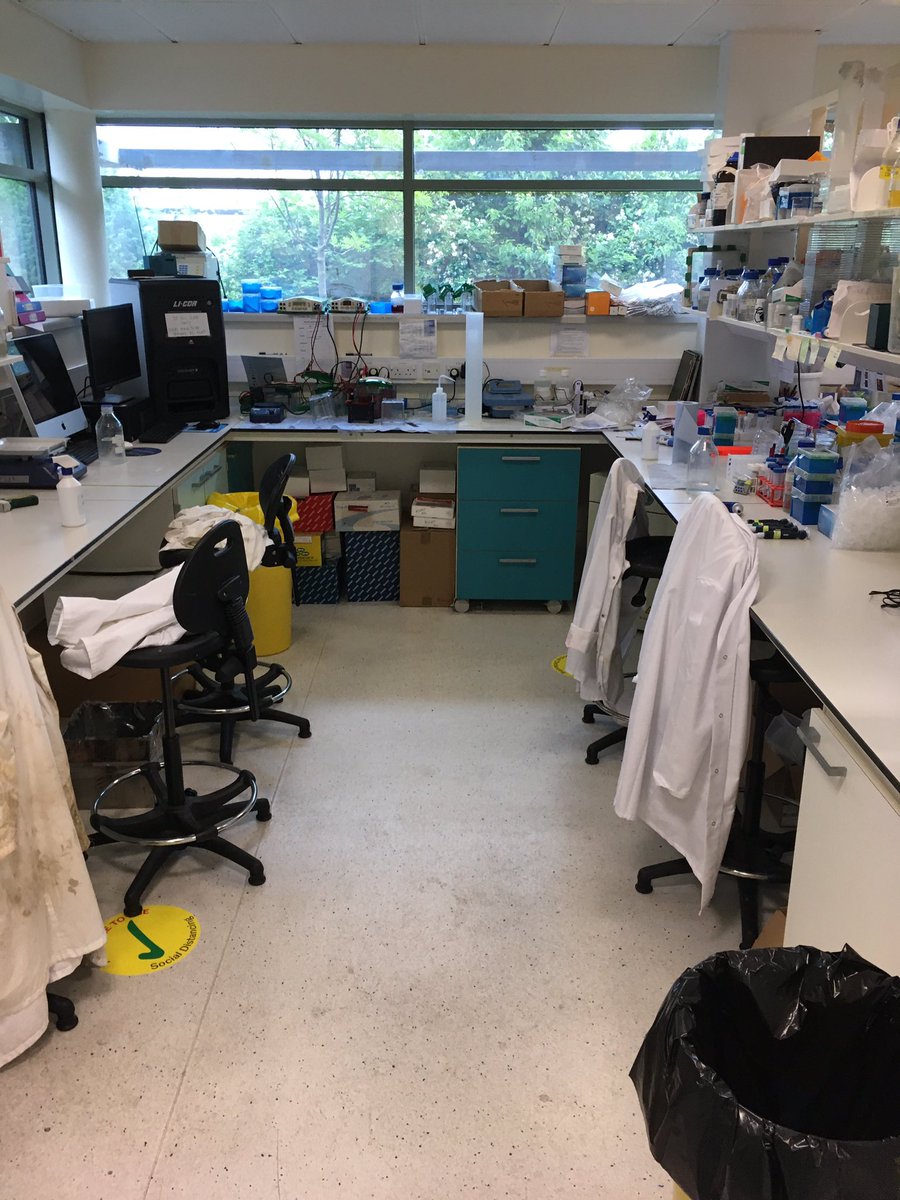 First time back in the lab since lockdown. Well everything is still here - now only the people that make this place come alive...