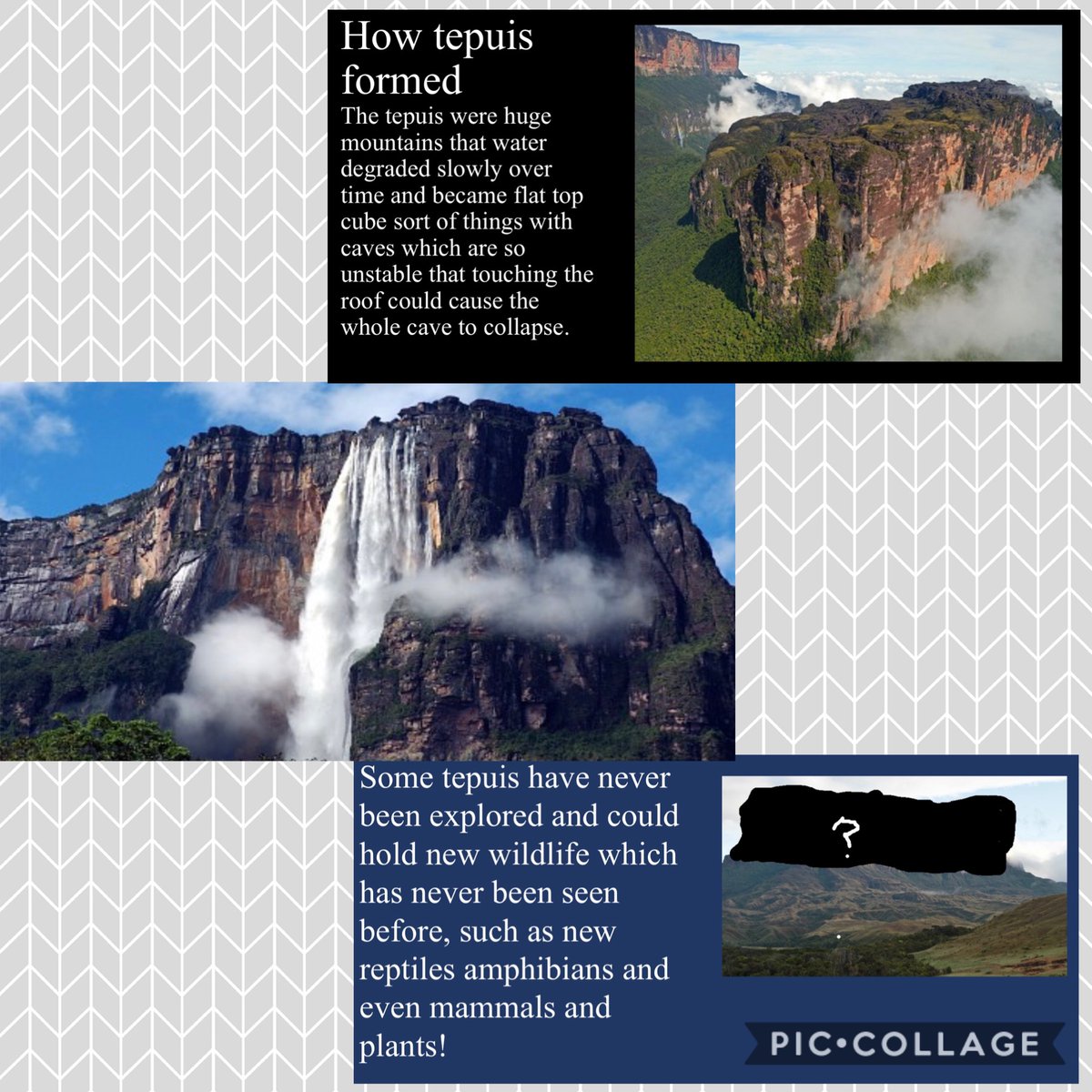 Blwyddyn 5 Cross Ash tweet media