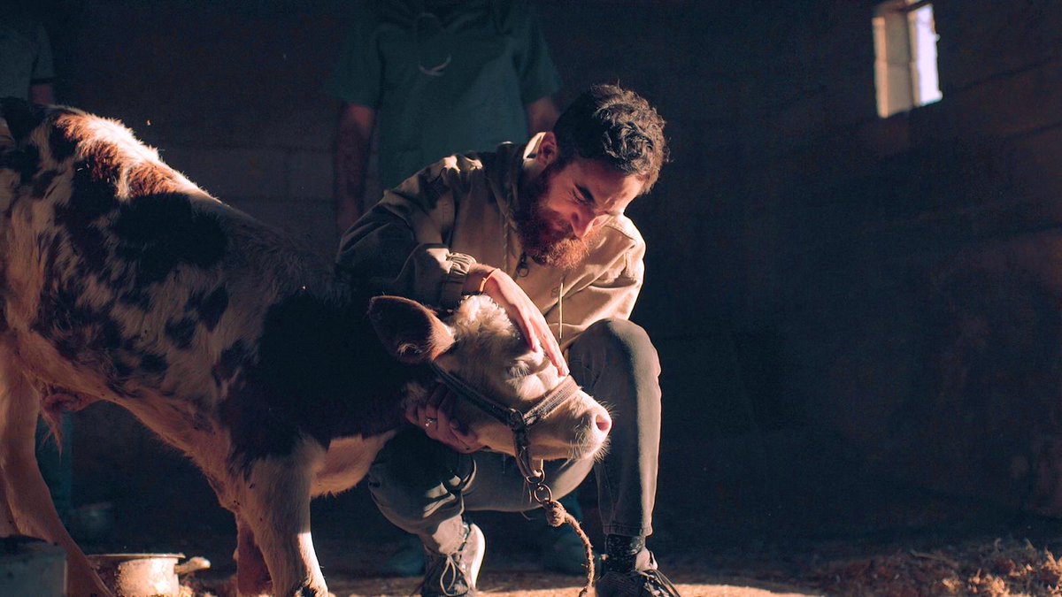 Bal çocuğun 😍🐮Mardin’den İstanbul’a uzanan yolculuğunun etkileyici hikayesi bu Pazar saat 14.00’te <a href="/KanalD/">Kanal D</a> ‘de! <a href="/hayattamircisi_/">Hasan Kızıl</a>  <a href="/dijitalsanatlar/">Dijital Sanatlar</a> #hayattamircisi 💙