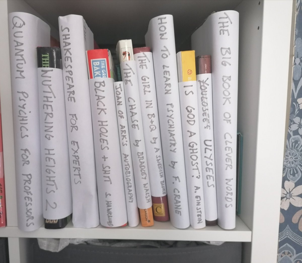 joeheenan's tweet photo. I've got a video call in an hour so I've made the books in the background  a bit more impressive https://t.co/FStvmibGdi