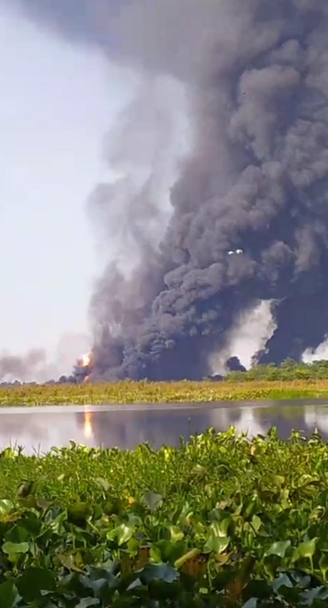 iamhemanga's tweet photo. Not Amazon , not Australia , Baghjan is in your own India , and it has been burning for two days now!Go vocal for local .
 #SaveBaghjan
#SaveMaguriBeel
#SaveDibruSaikhowa
#BaghjanFire
#SaveAssam

@PMOIndia
@CMOfficeAssam @OilIndiaLimited @ndtv  @PrakashJavdekar @RahulGandhi https://t.co/GuXY91SFks