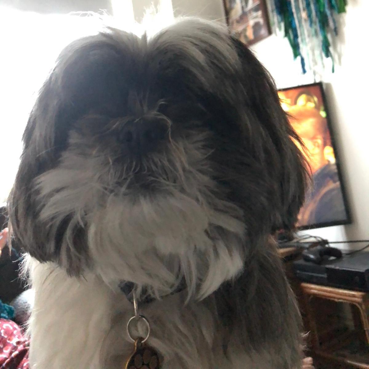 the human tells me there is something happening today

#PlayStation5