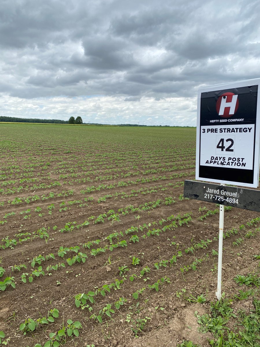 HeftyGeorgetown's tweet image. Great photo showing how the Hefty 3 Pre Strategy will keep your fields clean long after application.