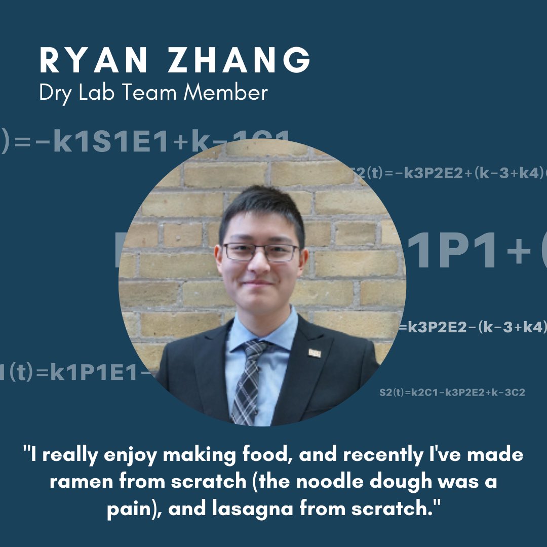 Techy Thursdays – A sneak-peek into iGEM’s Dry Lab team (2/3)