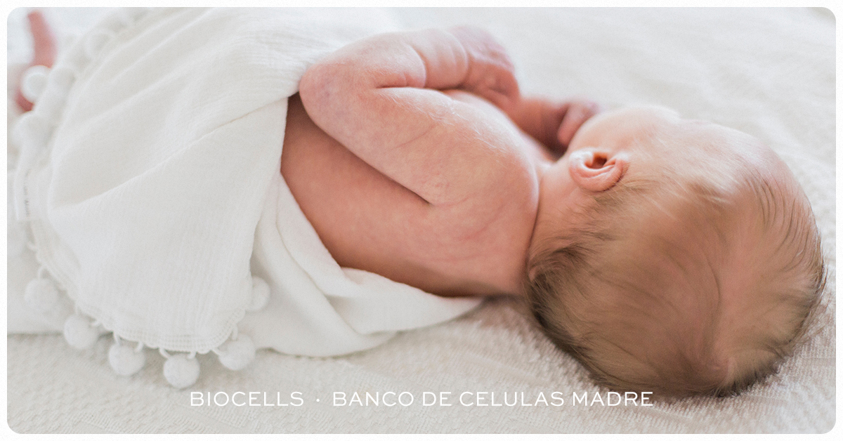 BioCellsArg's tweet photo. ¿Sabías que las Células madre son la base de la medicina regenerativa del futuro?
.
Encontrá toda la información sobre #RecoleccionCélulasMadre en nuestro sitio web https://t.co/SkMp8Ds0IH
🤔 Si tenés Dudas #escribinos
.
#celulasmadre #medicinadelfuturo #hijos #bebe #biocells https://t.co/gQUTUwVAX6