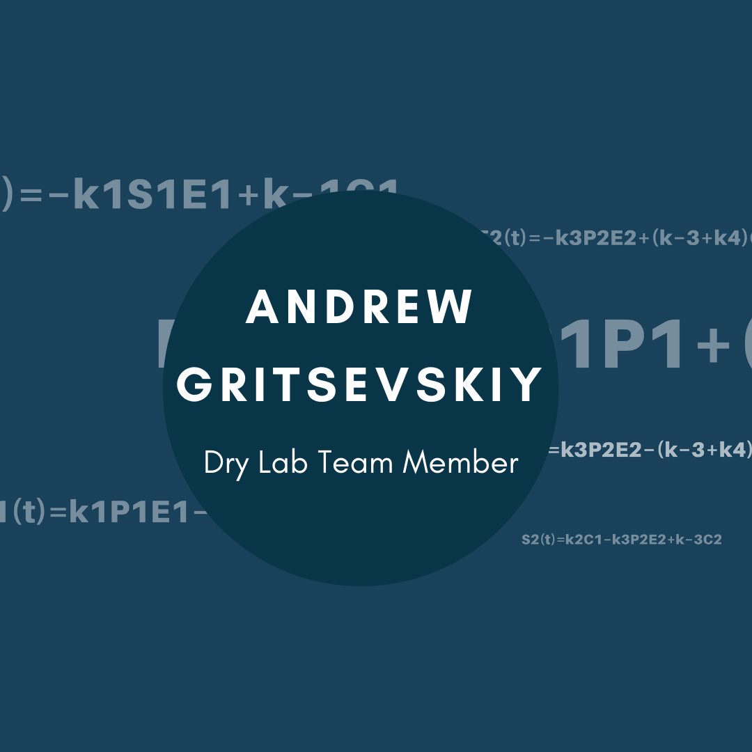 Techy Thursdays – A sneak-peek into iGEM’s Dry Lab team (3/3)