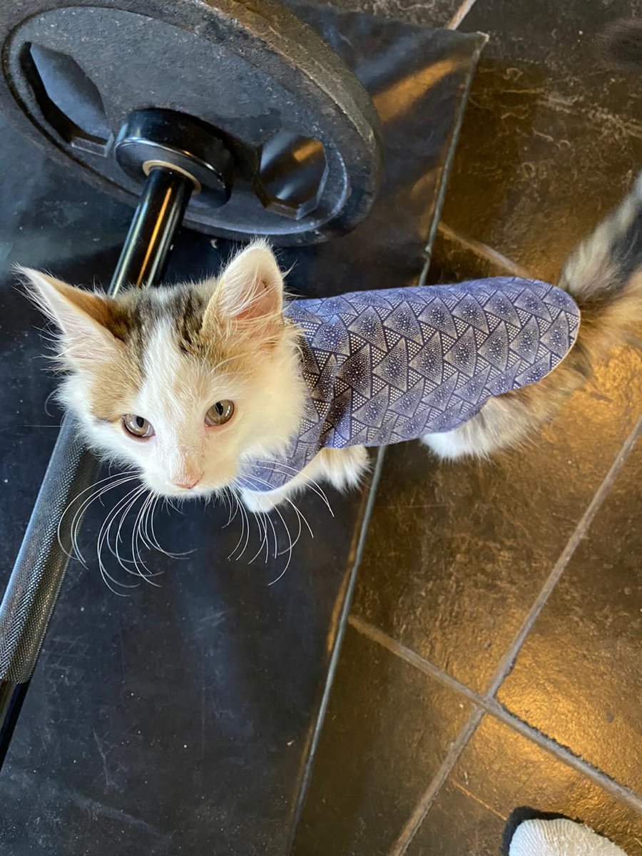 Never mind the jacket, okes.Check out my walrus whiskers.And my weights.