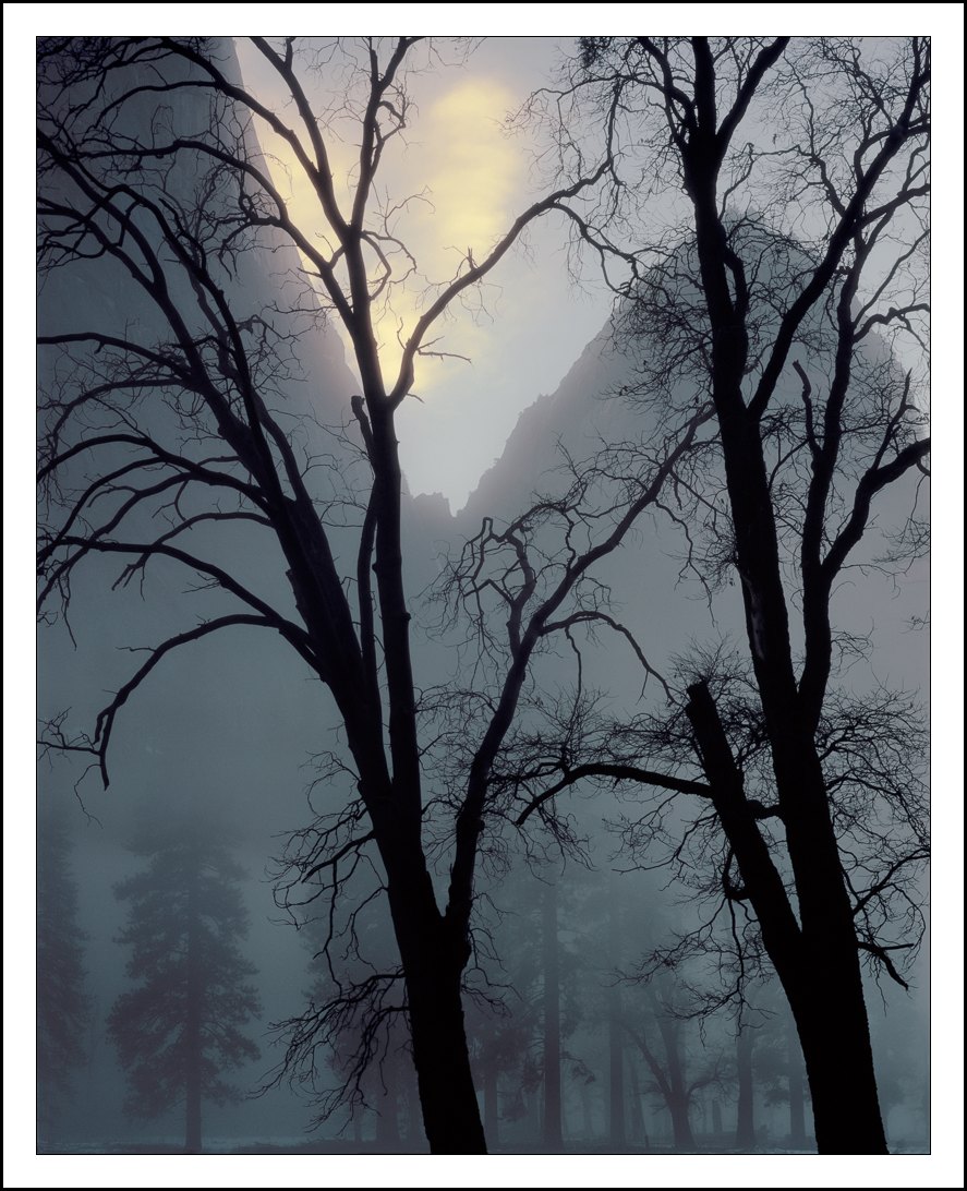 Nature Photographers Network tweet media