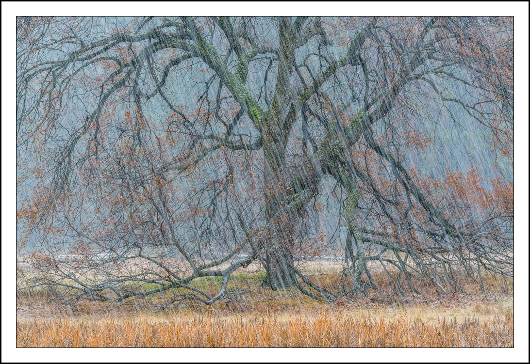 Nature Photographers Network tweet media