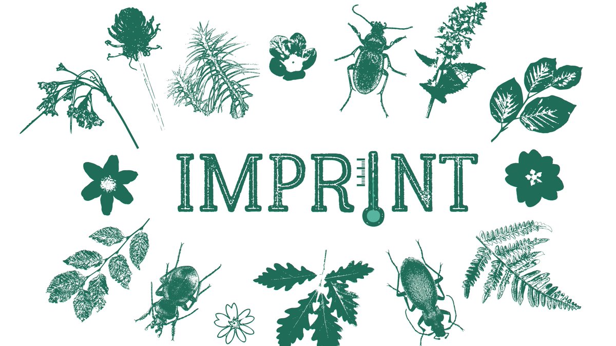 ForMicroclimate's tweet image. 🇬🇧 The English version is here !! (also available in 🇫🇷 )

microclimat.cnrs.fr

Check it out to know more on our #IMPRINT project on #microclimate &amp;amp; forest #biodiversity faced with #ClimateChange 🌄 🪲🌱