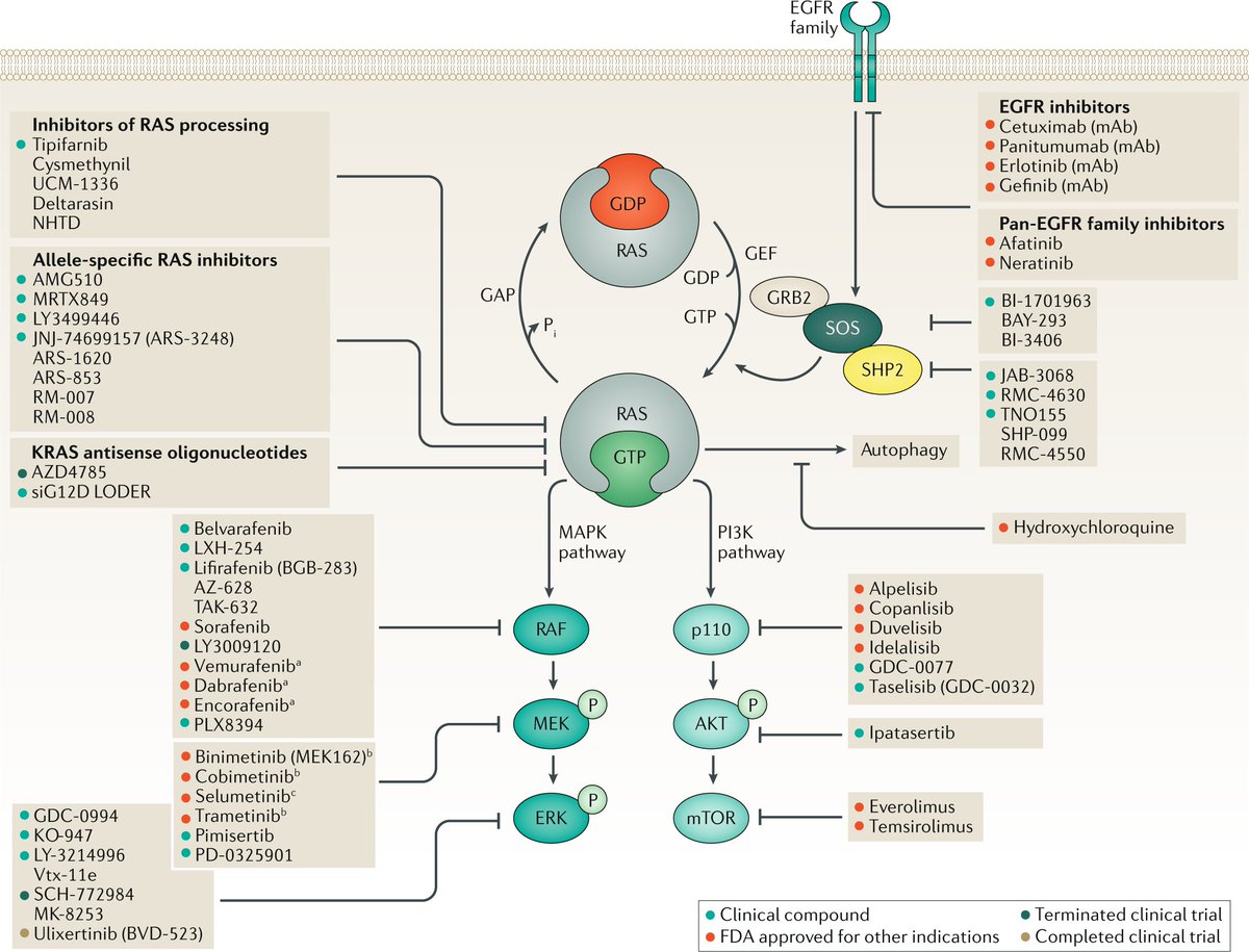 Nature Reviews Drug Discovery tweet media