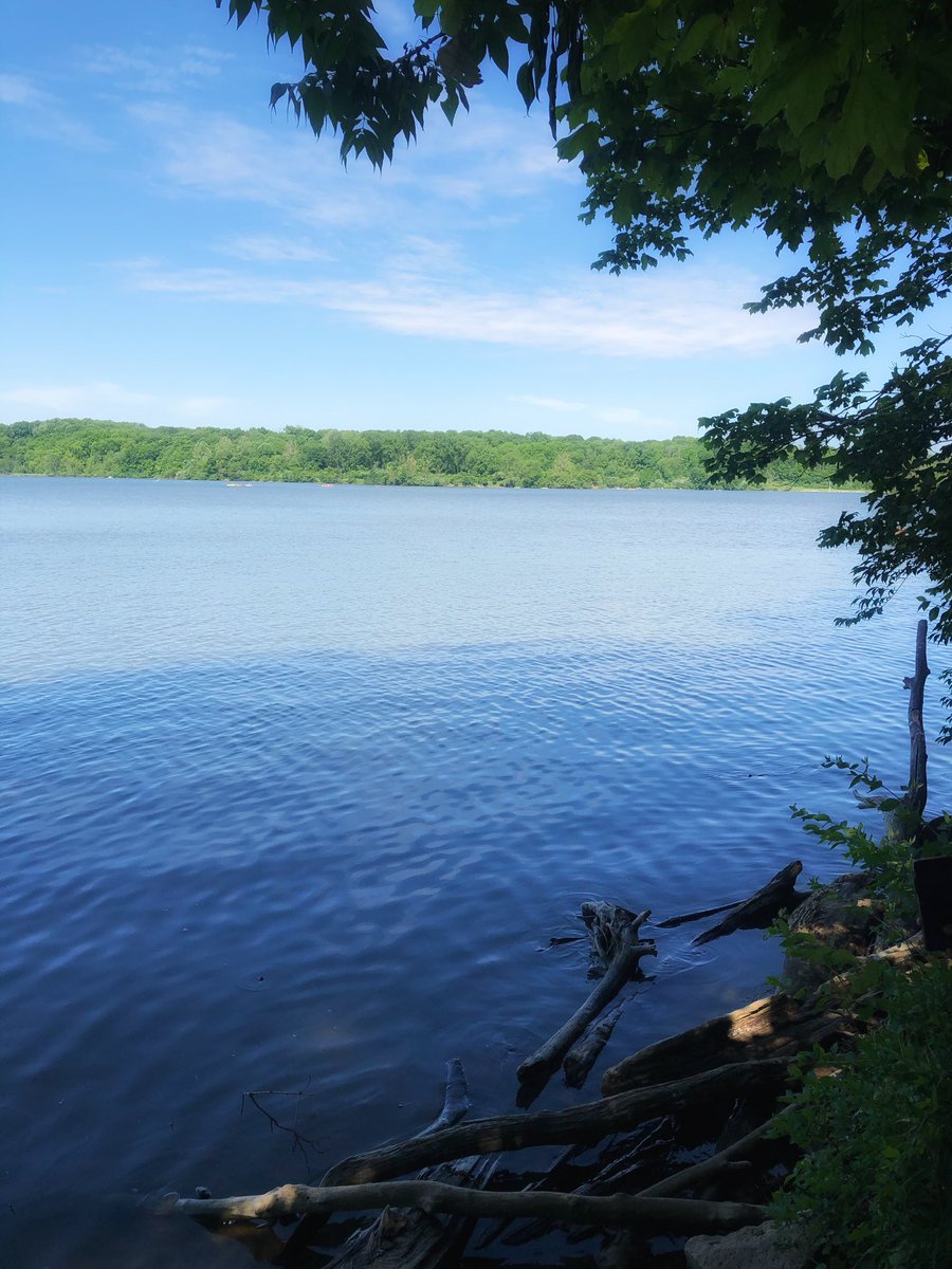 IndyParksandRec's tweet photo. The view at Eagle Creek never disappoints 🌳☀️🌊 #DiscoverIndyParks https://t.co/9IvhXt0h0X