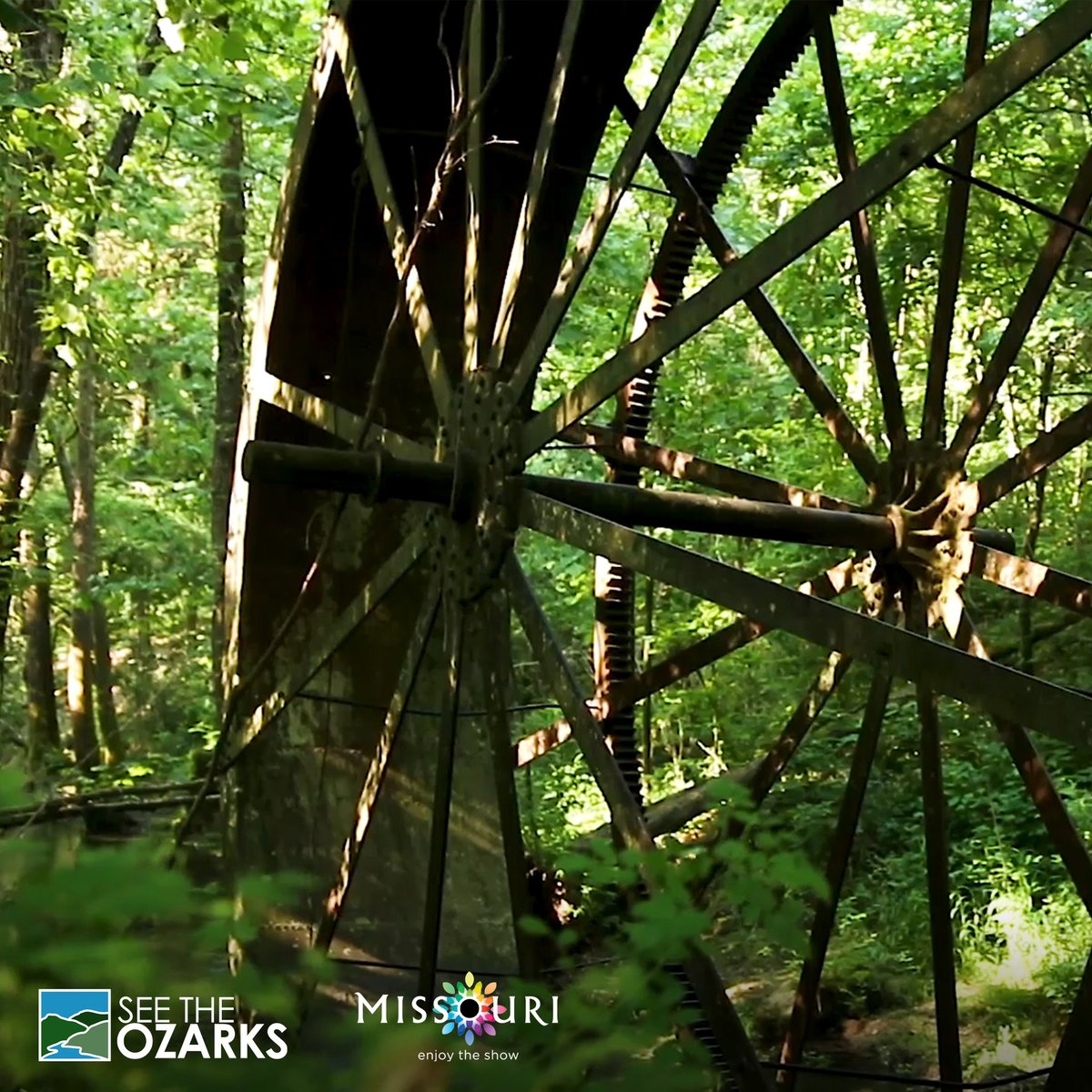 See The Ozarks tweet media