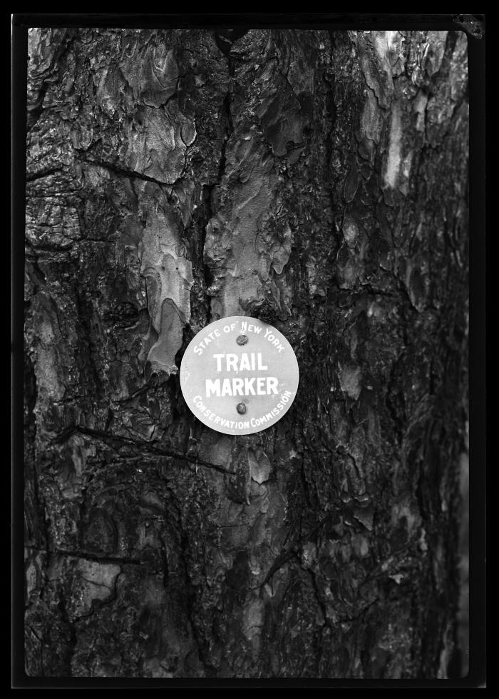 nysarchives's tweet photo. #TBT #Trailsign and markers, #HamiltonCountyNY, 1920. #archives #AdirondackMountains https://t.co/KXpPQBUB4l https://t.co/LQjdMteDVn