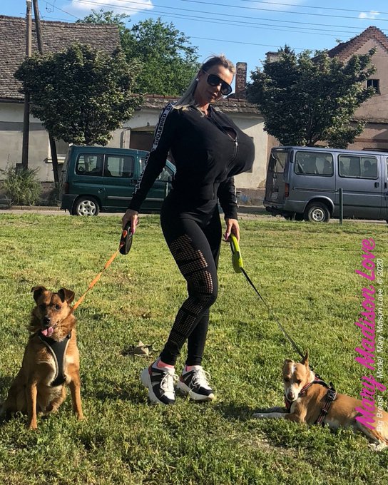 🌸Wolk with my loves 🐶🐶 &hearts;️ #love #followme #beautiful #instagram #follow #dress #wedding #weddingday #lovequotes<a href="/tag/love"class="tags">#love</a><a href="/tag/followme"class="tags">#followme</a><a href="/tag/beautiful"class="tags">#beautiful</a><a href="/tag/follow"class="tags"><span>#follow</span></a><a href="/tag/instagram"class="tags"><span>#instagram</span></a><a href="/tag/dress"class="tags"><span>#dress</span></a><a href="/tag/wedding"class="tags"><span>#wedding</span></a><a href="/tag/weddingdress"class="tags"><span>#weddingdress</span></a>