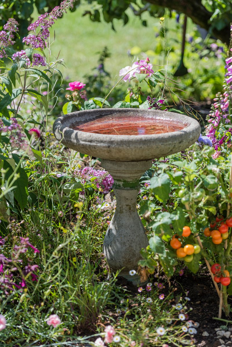 The_RHS's tweet photo. Today would have been the first day of #RHSChatsworth 🐝To celebrate the show’s theme, “The Power Of Nature”, we’re sharing our top tips for welcoming nature in with a wildlife-friendly garden: 
https://t.co/F53ze2qVqR

#GrowAtHome https://t.co/stFjdnkPRw