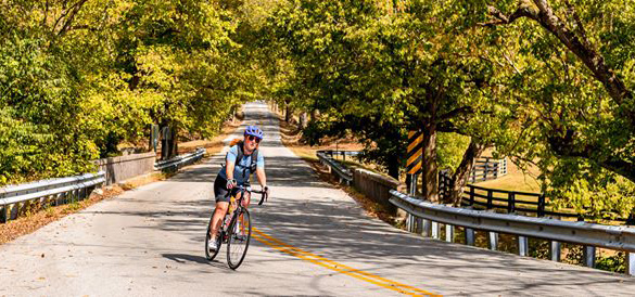 BlueWheelBikes's tweet image. Biking is such a great way to get outside for fresh air, improved mental health and exercise. For questions on ride routes, bikes, gear or repairs, we’re here with expertise and advice to keep your fun rolling. Be well, stay safe.