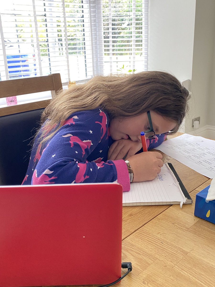 BevMclatchie's tweet photo. @LCPS07 Ruby has been ploughing through the Oak Academy learning this week. Managed a walk and picnic in the sunshine on Tuesday, and joined her big sister with her learning about mass and volume today experimenting with water and objects. https://t.co/BQk9MMWAYy