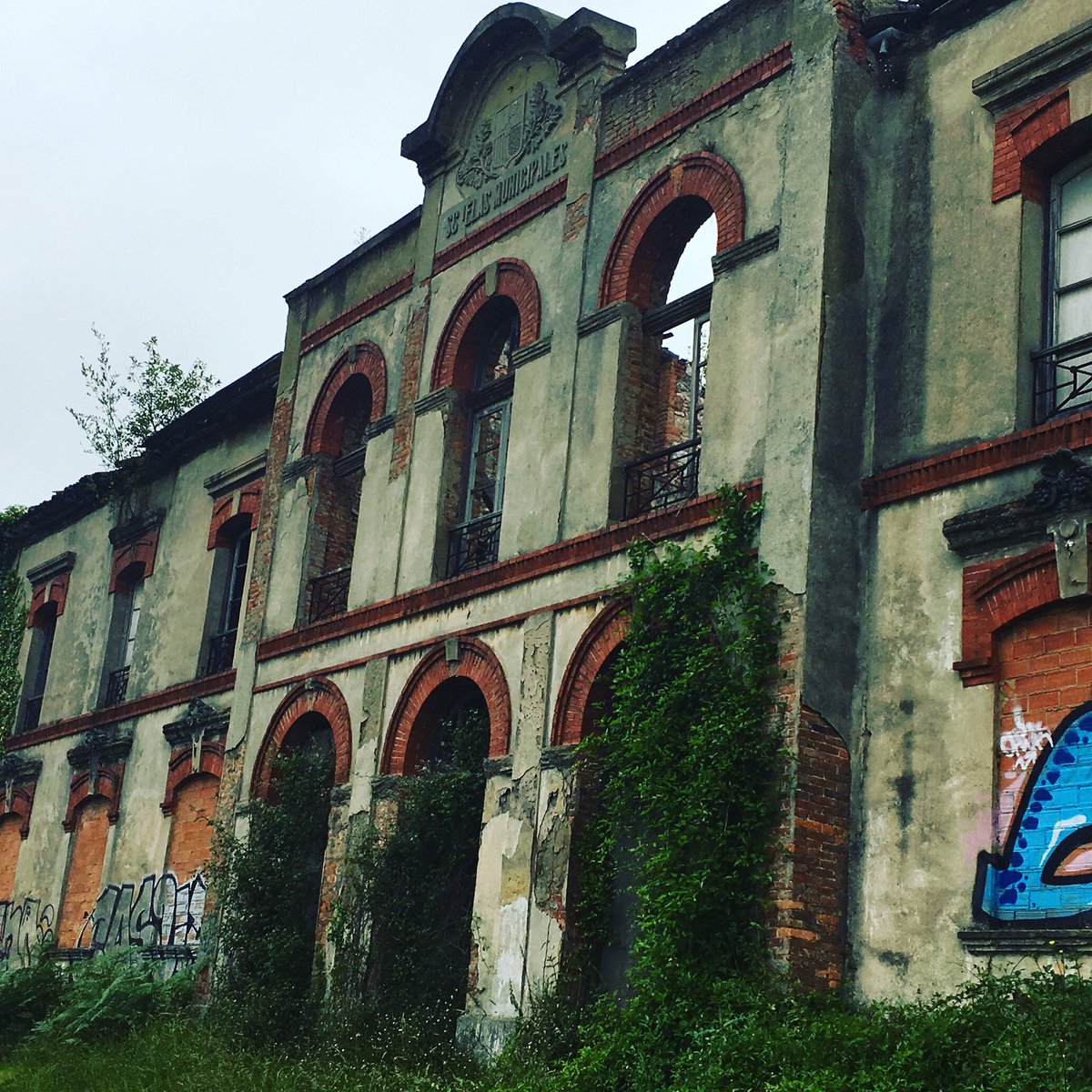 Ruud_Uden's tweet photo. Vanochtend van huis naar Oviedo gelopen. Niet via de kortste route maar langs een landelijke omweg. Dit soort beelden geven ook aan waarom ik hier graag ben. Zichtbare vergankelijkheid. Het is een beetje rommelig allemaal. Dat vind ik wel fijn. #sendaverde #asturias https://t.co/KVtVI9Goa1