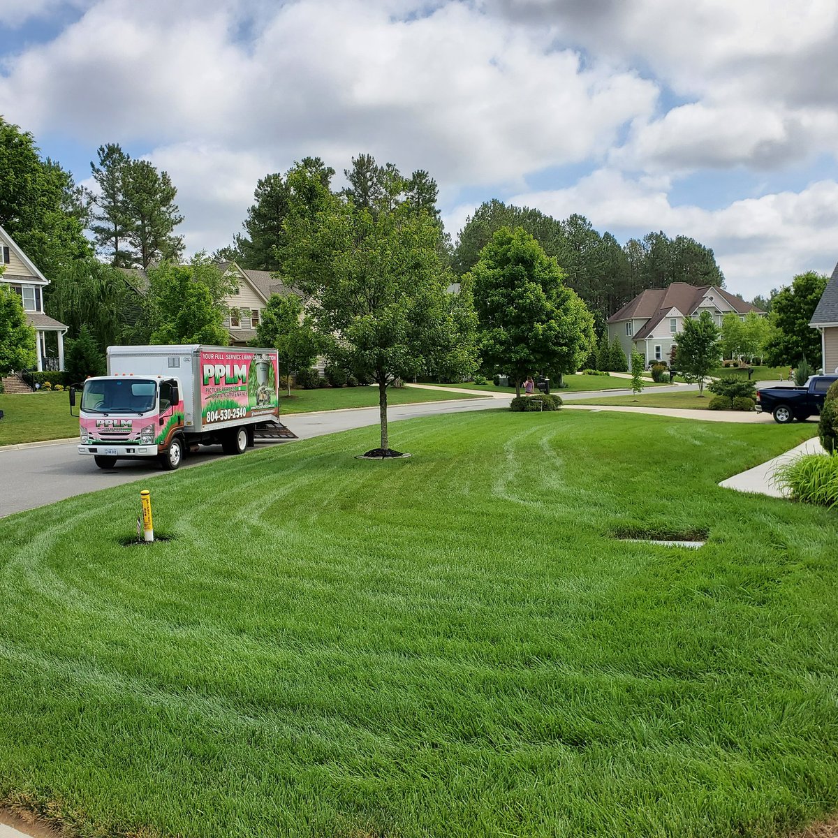 Picture Perfect Lawn tweet media