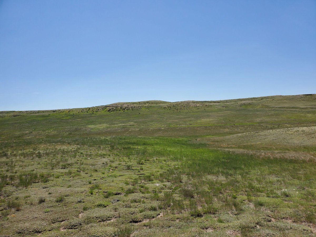 PeoplesCompany's tweet photo. Peoples Company is pleased to offer 642 acres m/l in Kimball County, NE. This full section currently has 513 acres of CRP and 125 acres of pasture. #PeoplesCompany
Agent: Troy Vogel & Nic Smith
Listing #15019 | 🔗https://t.co/AG20DQJflj
#Landavailable #Landforsale https://t.co/mWSbstoC84