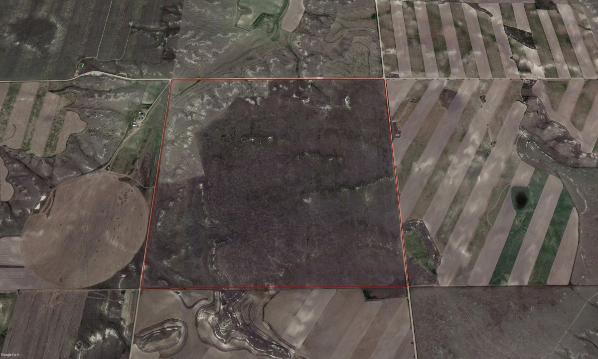 PeoplesCompany's tweet photo. Peoples Company is pleased to offer 642 acres m/l in Kimball County, NE. This full section currently has 513 acres of CRP and 125 acres of pasture. #PeoplesCompany
Agent: Troy Vogel & Nic Smith
Listing #15019 | 🔗https://t.co/AG20DQJflj
#Landavailable #Landforsale https://t.co/mWSbstoC84