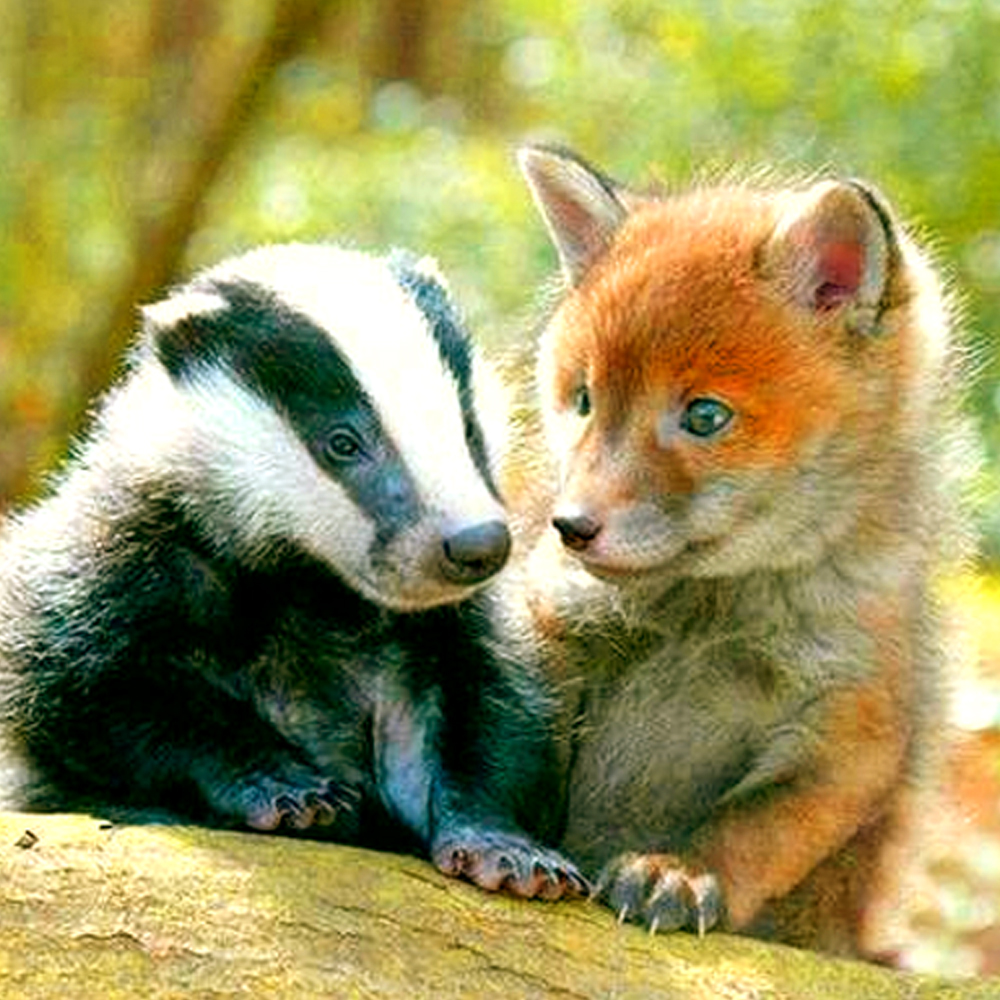 Made a Playlist! Dig it
open.spotify.com/playlist/6UHEp……

feat. @TrumanDinosaur <a href="/electsoftparade/">electricsoftparade</a> <a href="/octopuses100/">Octopuses</a> <a href="/TigerMimic/">tiger mimic</a> @Hemimoore1 <a href="/Bugeyeband/">Bugeye</a> <a href="/TheAcademyofSun/">Nick Hudson</a> <a href="/MosesOfficialUK/">M O S E S</a> @bigpeyoteband <a href="/TropicalBoyCat/">Tropical Boyfriend Catalogue</a> <a href="/thebigpushband/">The Big Push</a> @arxxband <a href="/WeirdMilkMusic/">Weird Milk</a> <a href="/DemobHappy/">Demob Happy</a> <a href="/DeafSurf/">Deaf Surf</a> <a href="/waltdisco/">WALT DISCO</a>