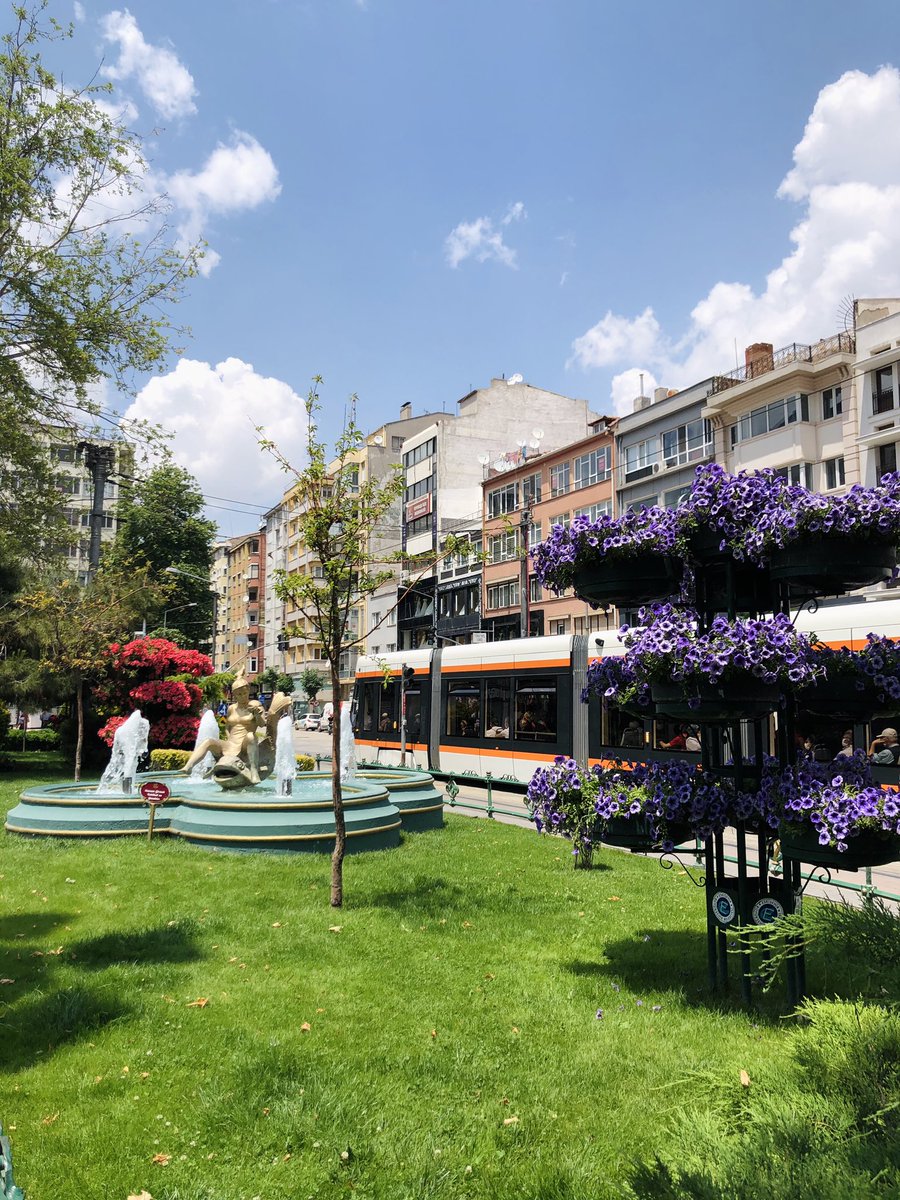 hamidetekin's tweet photo. Şuraya özleyenler için #Eskişehir fotoğrafları koyalım 🥰 Bugün çektim, her yer çiçeklerle rengarenk! 

Gel de aşık olma bu şehre 🧚🏻‍♂️ Ellerinize emeklerinize sağlık 🙏🏻 @eskisehirbb @tepebasibeltr @odunpazari https://t.co/APMiD9ozgp