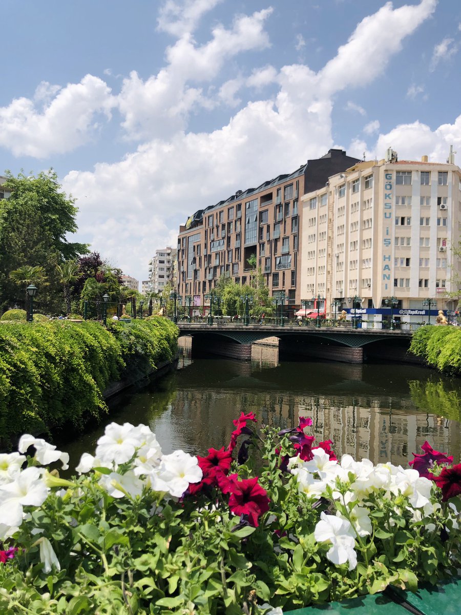 hamidetekin's tweet photo. Şuraya özleyenler için #Eskişehir fotoğrafları koyalım 🥰 Bugün çektim, her yer çiçeklerle rengarenk! 

Gel de aşık olma bu şehre 🧚🏻‍♂️ Ellerinize emeklerinize sağlık 🙏🏻 @eskisehirbb @tepebasibeltr @odunpazari https://t.co/APMiD9ozgp