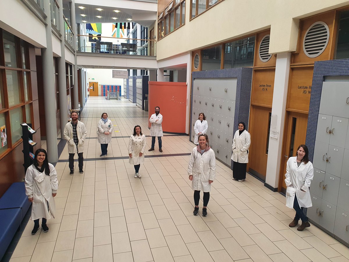 DCU School of Chemical Sciences tweet media