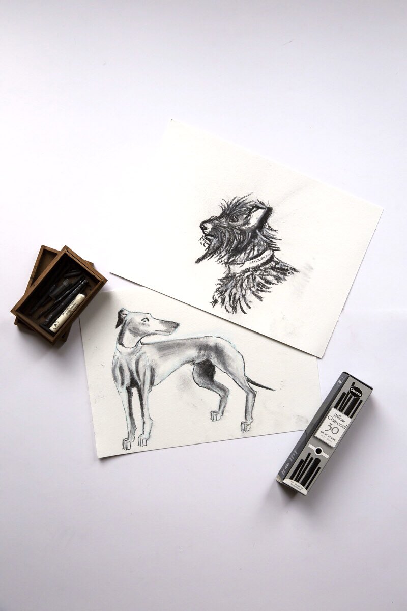 Hannah Larkin (@hannahlarkin) on Twitter photo Which is your favourite?
π¦π¦πΊπ·π΄πΆ
Wednesday evenings have become a weekly lockdown highlight. Itβs when <a href="/WildDrawing/">Wild Life Drawing</a> go live on Instagram at 7pm & take you step by step through an animal #drawing
πβοΈπβοΈ
Who wants to join next week when itβs big cats in colour?
π― Which is your favourite?
π¦π¦πΊπ·π΄πΆ
Wednesday evenings have become a weekly lockdown highlight. Itβs when <a href="/WildDrawing/">Wild Life Drawing</a> go live on Instagram at 7pm & take you step by step through an animal #drawing
πβοΈπβοΈ
Who wants to join next week when itβs big cats in colour?
π―