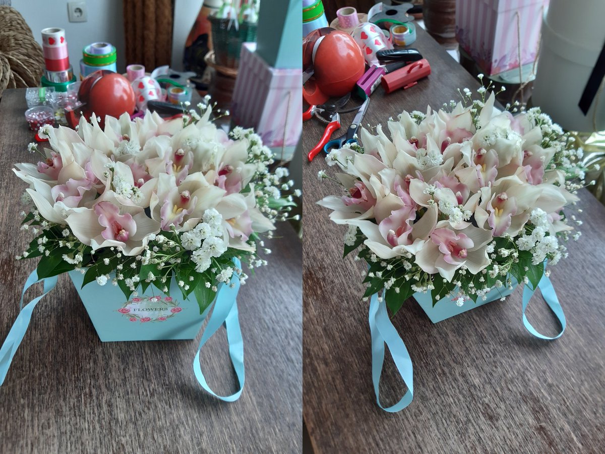 zare_entuzijast's tweet photo. #flowerbox #greenflowerbox #boxwithflowers #boxwithorhids #orhidea #whiteorhidea #gypsophila #decoration ๐๐บ๐ผ๐ฎ๐ฑ๐๐พ https://t.co/RZXXjKlFmf