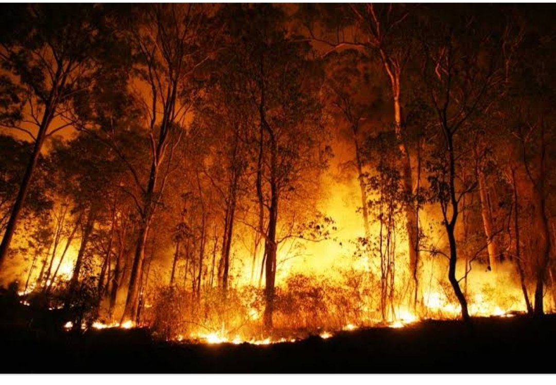 BabulMohit's tweet photo. #SaveBaghjan
#SaveMaguriBeel
#SaveDibruSaikhowa
#SaveNature
#BaghjanOilField
#BaghjanFire
#SaveAssam
@RahulGandhi
@sardesairajdeep
@rashtrapatibhvn
@narendramodi
@OilIndiaLimited
@PMOIndia
@dpradhanbjp
@PetroleumMin
@ndtvindia
@BBCWorld
@ravishndtv
@RandeepHooda
@deespeak https://t.co/k6tCRZPyhF
