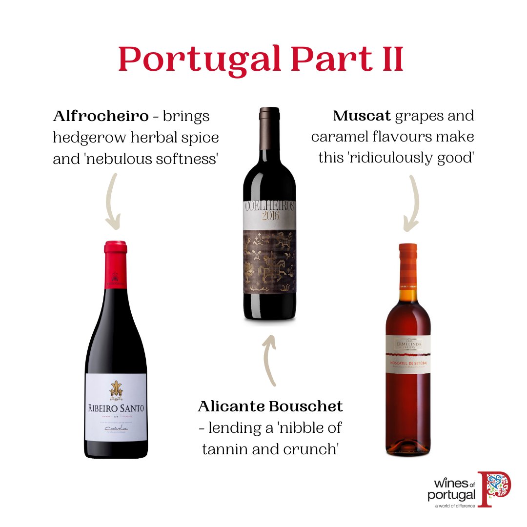 Tonight The Drinks Coach makes a grand return to Portugal, this time to have a nose at a couple of glorious reds and an absolute gem of a fortified wine! Catch you at 8.30pm, Joe x
With thanks to <a href="/WPTUK/">Wines of Portugal UK</a>