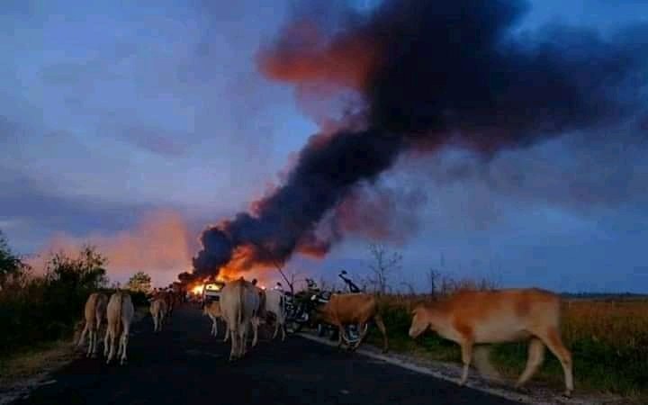 GautamBoruah_'s tweet photo. 🔷This is exactly   happened when
the country fell into the hands of stupid administrations and rich merchant groups.

#SaveBaghjan 
#SaveMaguriBeel 
#SaveDibruSaikhowa https://t.co/YIyi68r3Pj