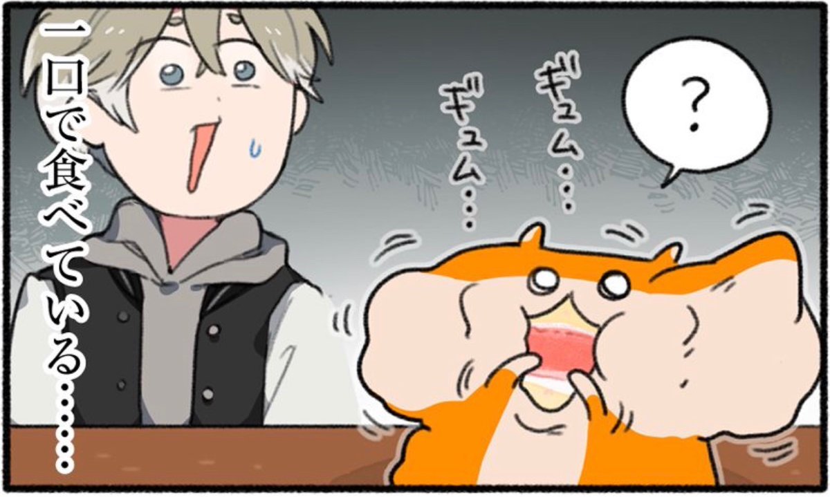 クソハム、ケーキを食べる
#生きぬけ爆走クソハムちゃん 