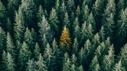 Unübersehbar, nutzerfreundlich und dynamisch - mit dem #Sitebar #Ad werden Sie im #Werbedschungel gesehen. Lesen Sie in den aktuellen #GoldbachSeries von Goldbach Audience, was das #Werbemittel alles kann! #MultiscreenSitebar bit.ly/3hiv6Qs