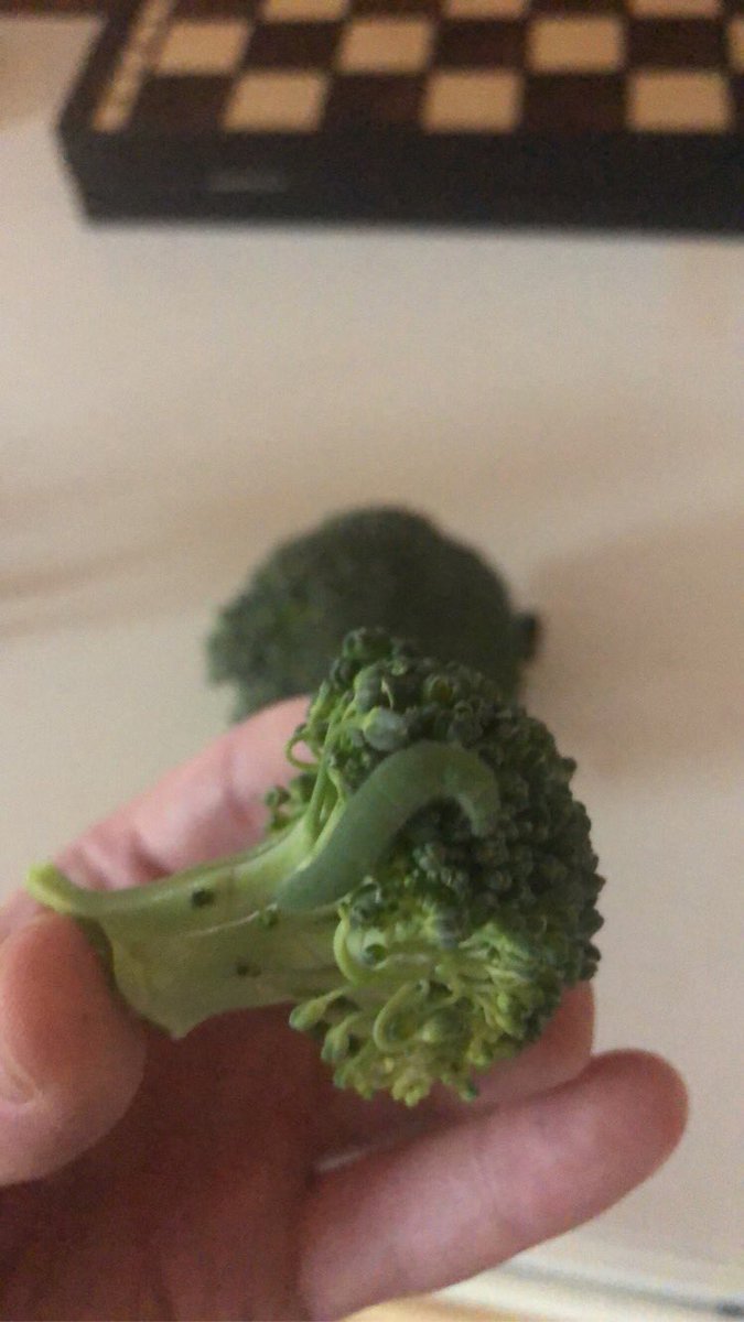 Hey  @Tesco I was about to cook my favourite vegetable of all time (broccoli) and after unwrapping it, to my surprise, found caterpillars inside! They’re really nice and we’ve ended up keeping one as a pet and naming him. but just as a heads up, some of your broc has c-pillars